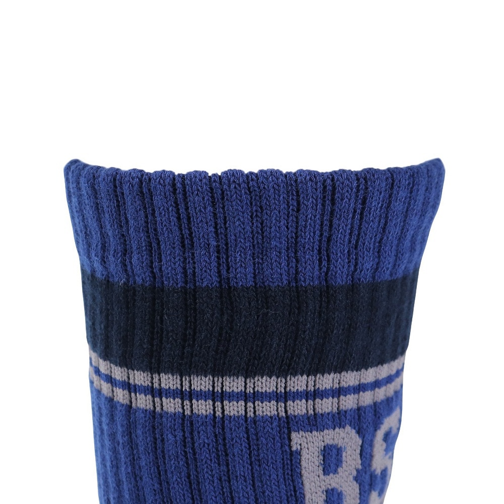 ROSASEN（メンズ）ゴルフ レギュラー丈ソックス 046-49832-098