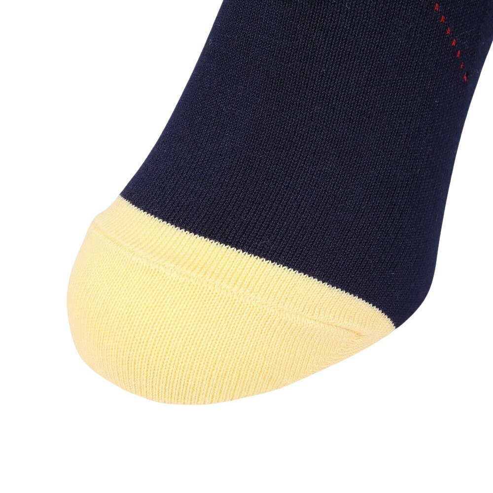 ポロ ラルフローレン（Polo Ralph Lauren）（メンズ）ゴルフ PL紳士アーガイルクルーソックス 2012-604-68