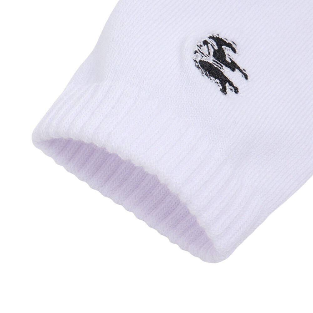 アドミラル ゴルフ（Admiral GOLF）（メンズ）ゴルフ 吸汗速乾 抗菌防臭 ランパント ミドルソックス ADMB4A20-WHT