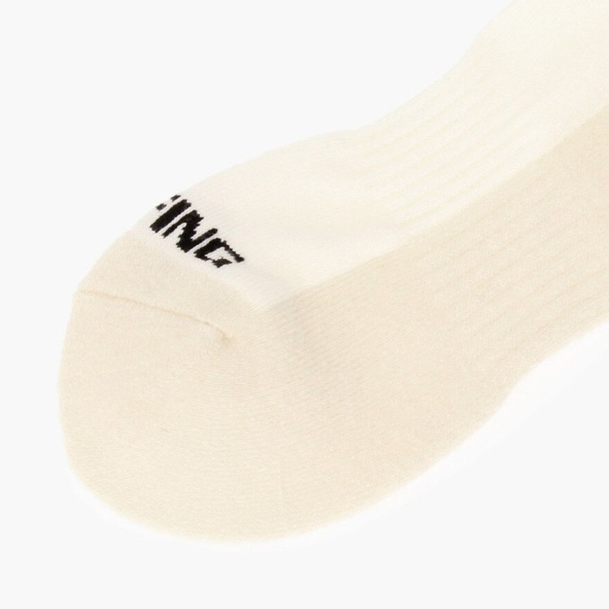 ブリーフィング（BRIEFING）（メンズ）ゴルフ 防臭 吸湿 ウール ベーシック ソックス BRG233M86-000