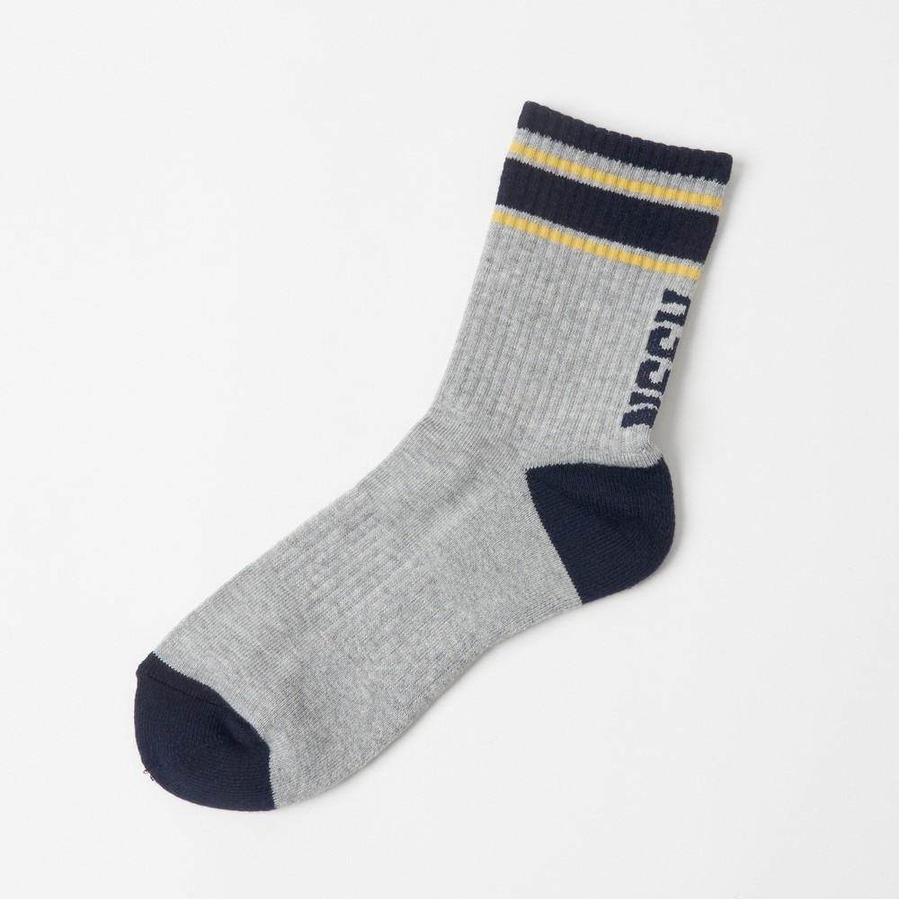 ROSASEN（メンズ）レギュラー丈ソックスス 046-43231-25SS-013