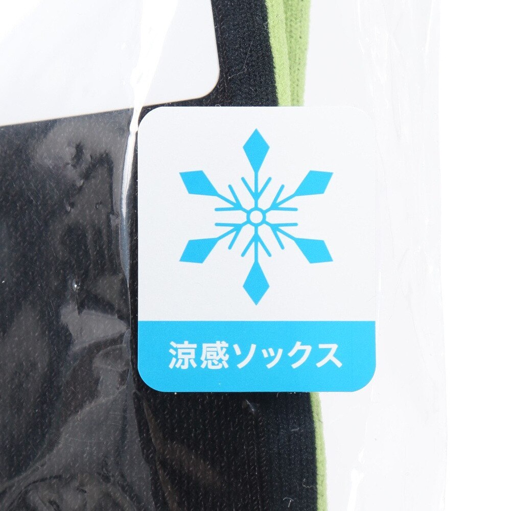 ルコックスポルティフ（lecoqsportif）（メンズ）ゴルフ 涼感メッシュ レギュラー丈ソックス LG5SSO11M BK00