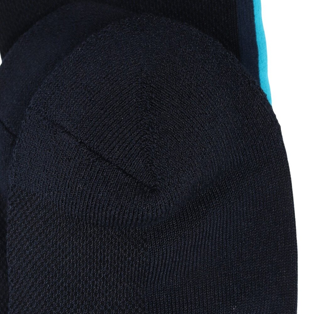 ルコックスポルティフ（lecoqsportif）（メンズ）ゴルフ 涼感メッシュ レギュラー丈ソックス LG5SSO11M NV00