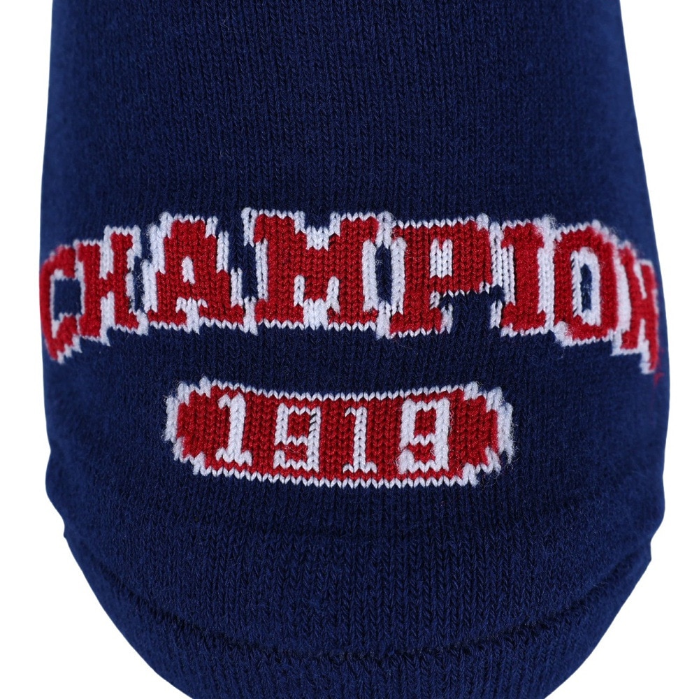 チャンピオン（CHAMPION）（メンズ）ゴルフ 抗菌防臭 ゴースト ソックス C3-XG702S 370