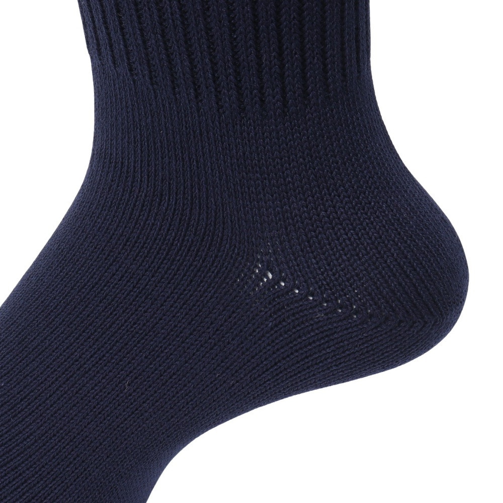 ポロ ラルフローレン（Polo Ralph Lauren）（メンズ）ゴルフ ソックス POLO無地 2012605-68