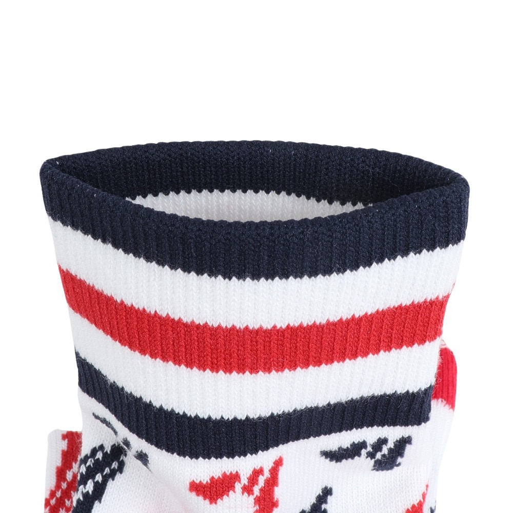 ルコックスポルティフ（lecoqsportif）（メンズ）ゴルフ シーズンモチーフショート丈ソックス QGBXJB01 ML00