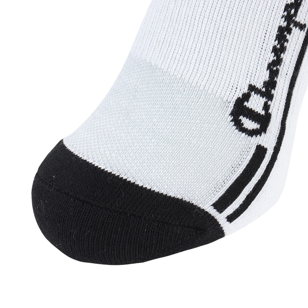 チャンピオン（CHAMPION）（メンズ）ゴルフ 抗菌防臭 ソックス C3-ZG702S 010