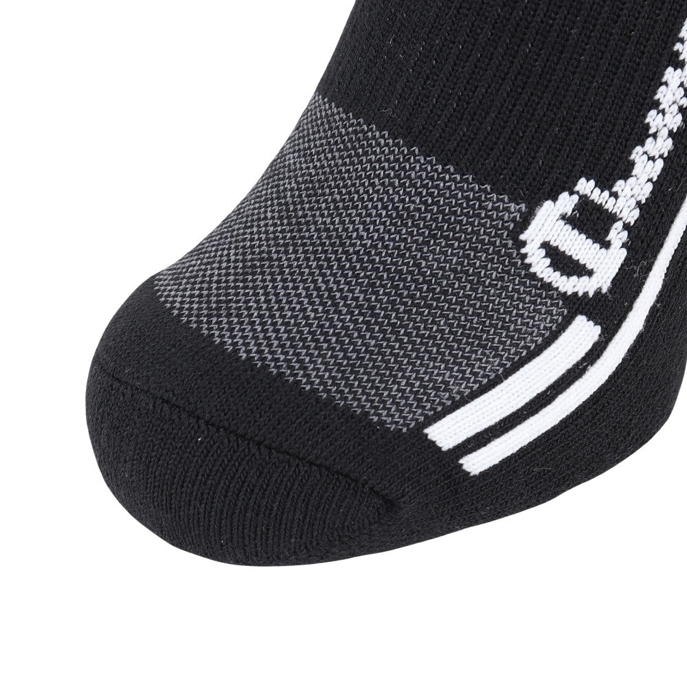 チャンピオン（CHAMPION）（メンズ）ゴルフ 抗菌防臭 ソックス C3-ZG702S 090