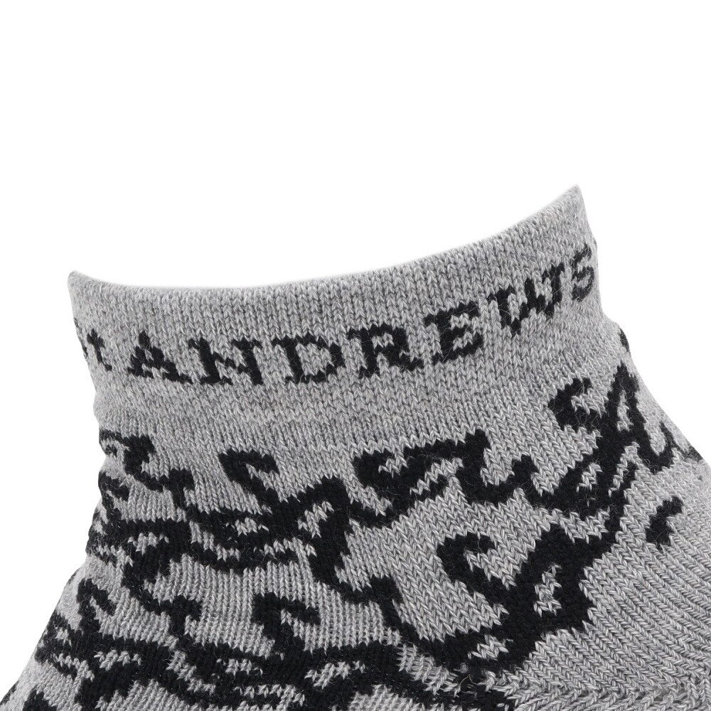 セントアンドリュース（ST.ANDREWS）（メンズ）ゴルフ 抗菌防臭 足底パイル SAロゴ アンクルソックス 042-5286851-020