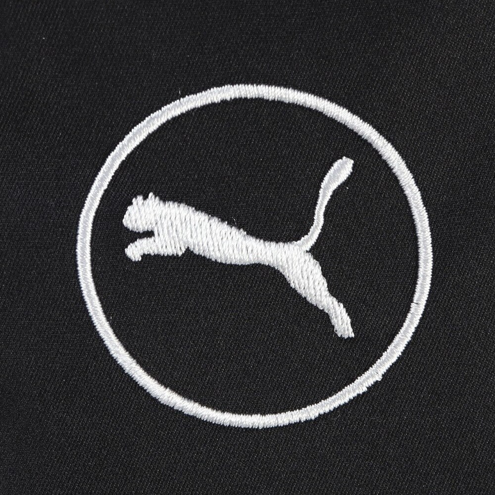 プーマ（PUMA）（メンズ）ゴルフ 撥水 サークルキャットホットバックミトン 042061-01