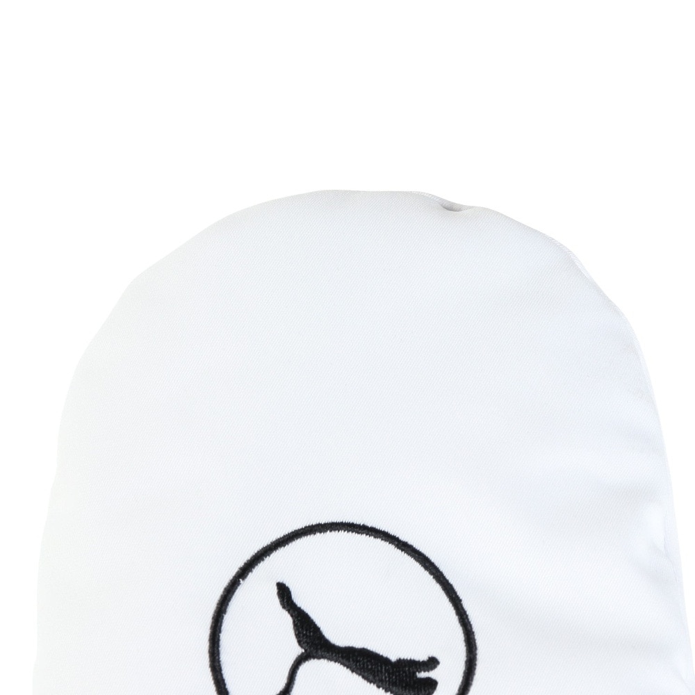 プーマ（PUMA）（メンズ）ゴルフ 撥水 サークルキャットホットバックミトン 042061-02