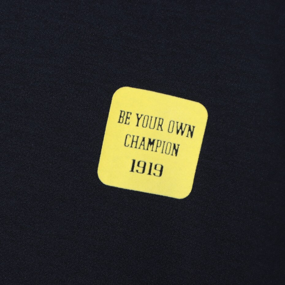 チャンピオン（CHAMPION）（レディース）ゴルフウェア モックネック 長袖シャツ CW-YG401 370