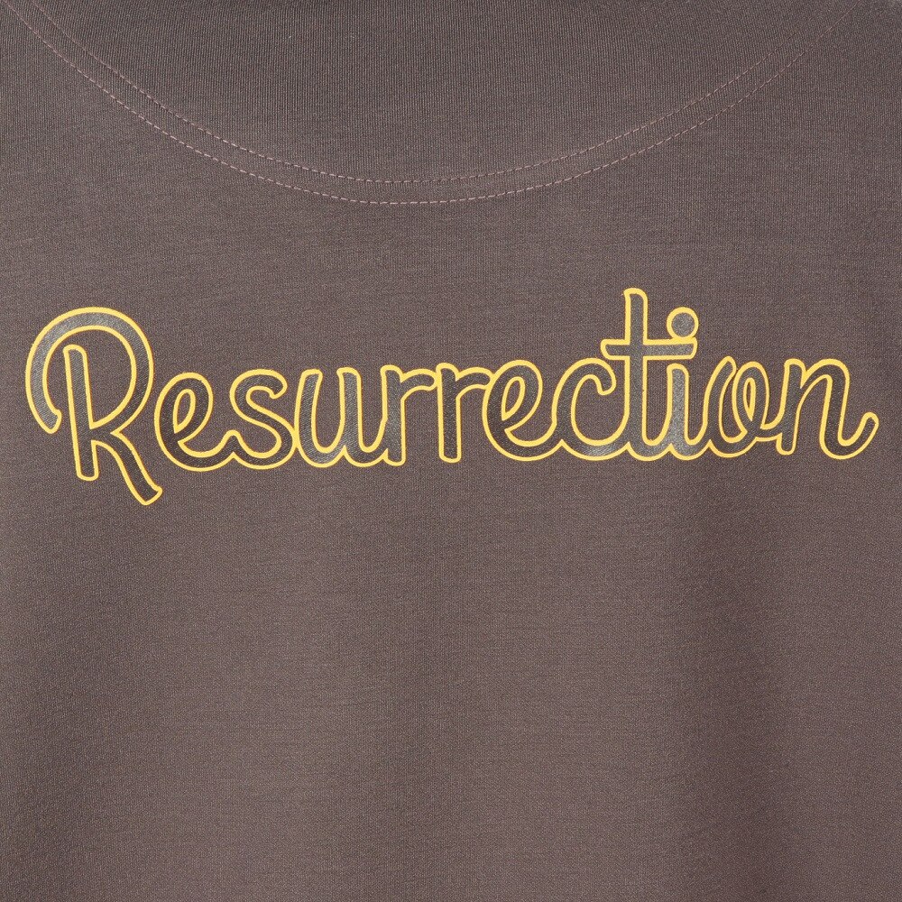 レザレクション（Resurrection）（レディース）ゴルフウェア ハイネックプルオーバー BD34IN13-W GRBR