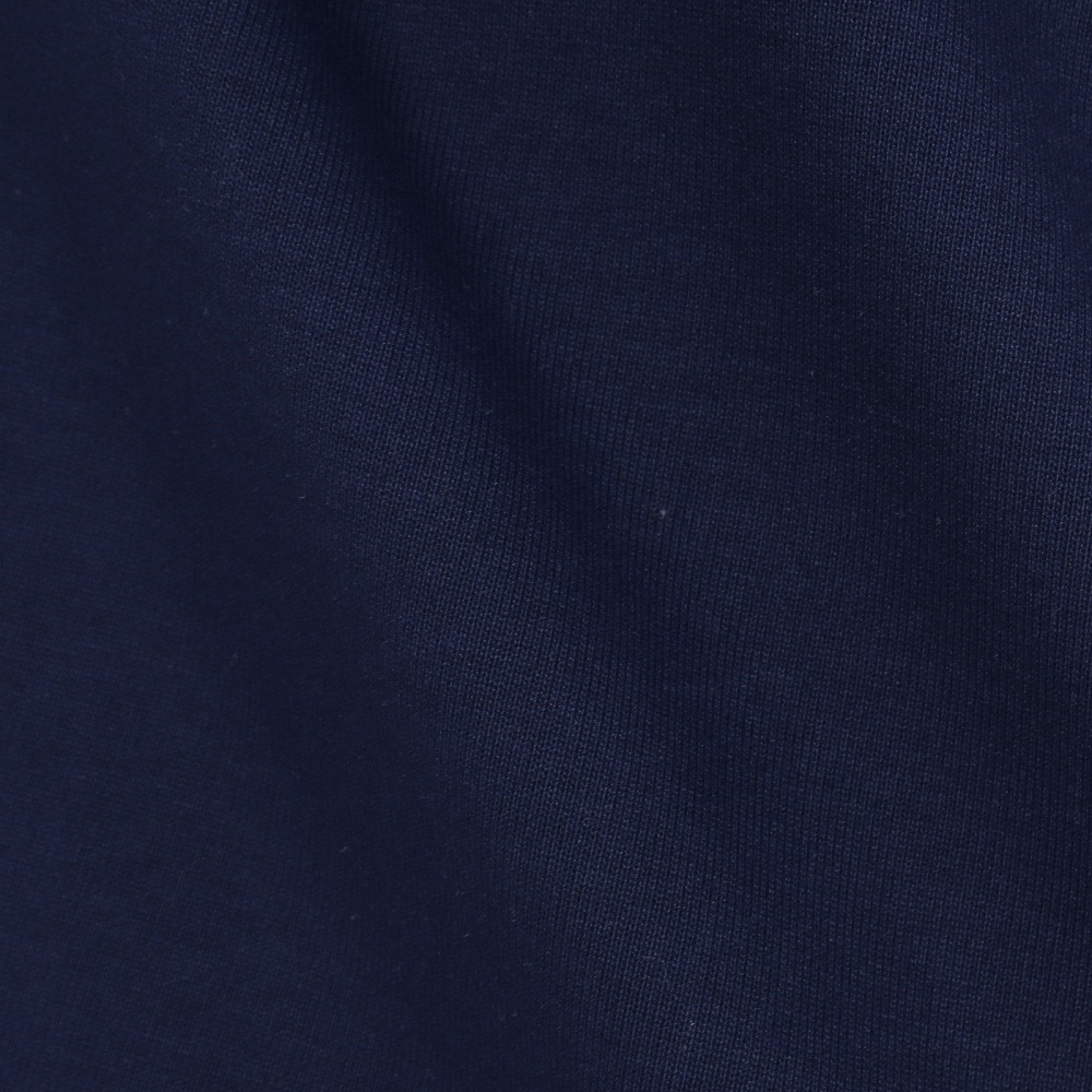 ピン（PING）（レディース）ゴルフウェア 引き揃え天竺ドライミックス長袖ハイネックカットソー 622-5266800-120