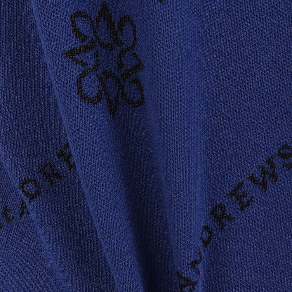 セントアンドリュース（ST.ANDREWS）（レディース）ゴルフウェア 14Gロゴケルトジャガードクルーネックニットプルオーバー 043-5270952-110
