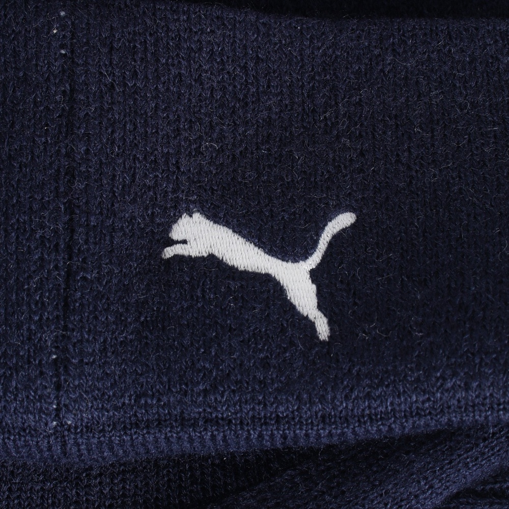 プーマ（PUMA）（レディース）ゴルフ PGW ニットキャップ 025310-02