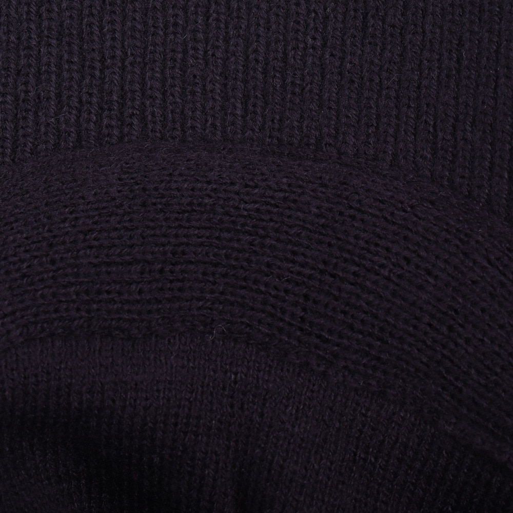 チャンピオン（CHAMPION）（レディース）ゴルフ 帽子 キャップ CW-CG704C 370