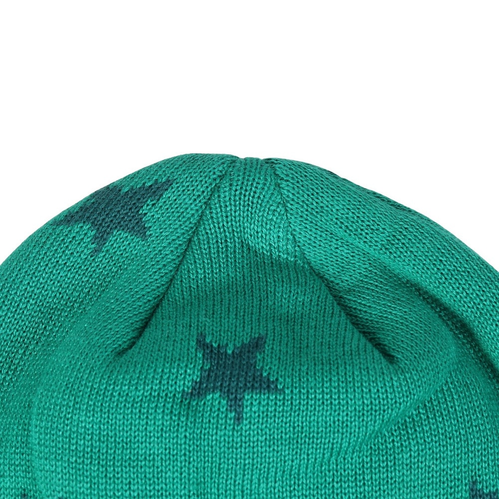 ピン（PING）（レディース）ゴルフ STAR ニットキャップ HW-L2408 GN 37877