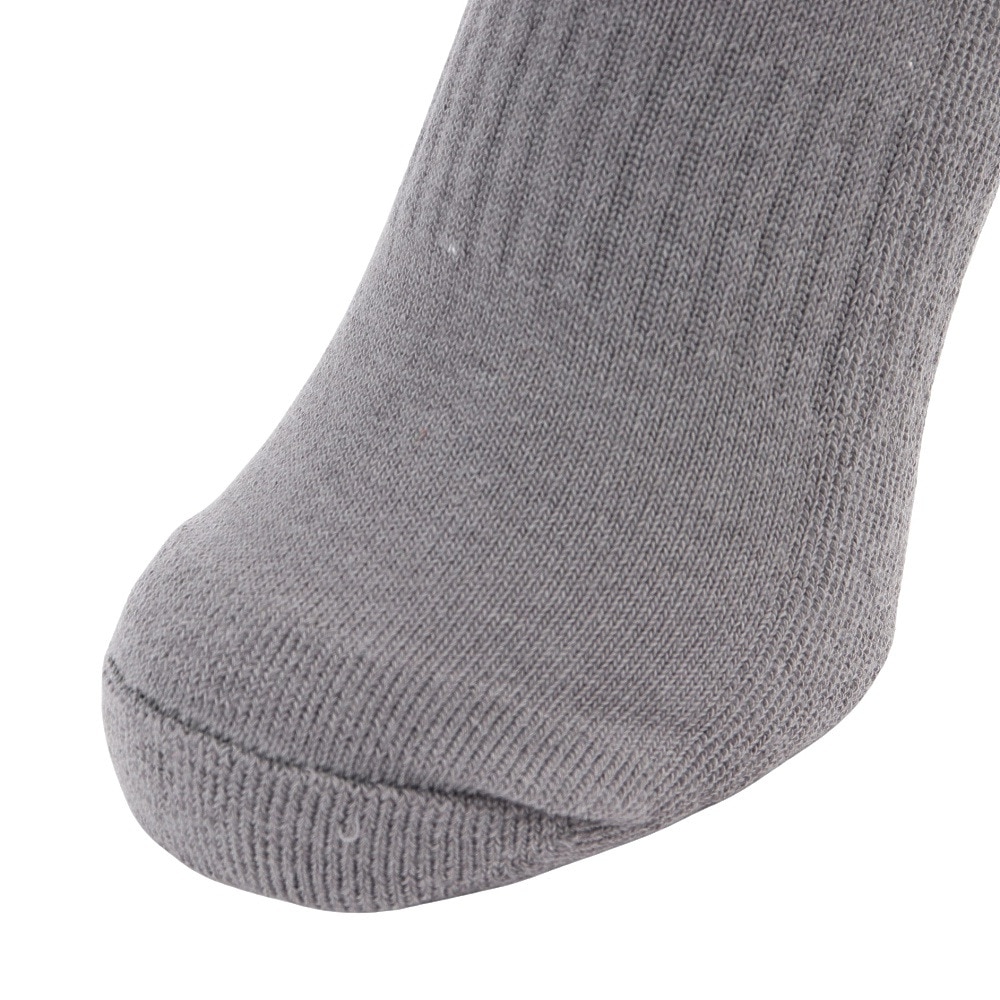 アドミラル ゴルフ（Admiral GOLF）（レディース）ゴルフ ロゴ ハイソックス ADMB4A21-GRY
