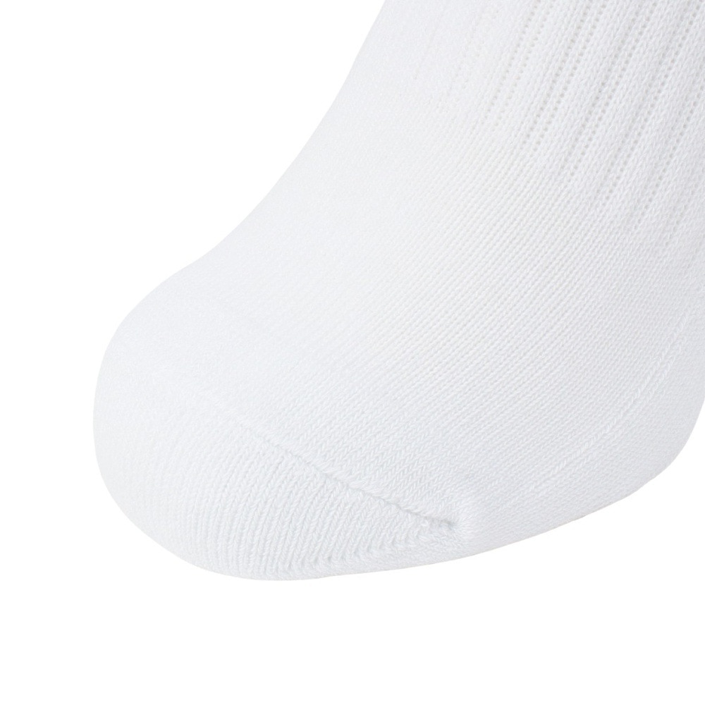 アドミラル ゴルフ（Admiral GOLF）（レディース）ゴルフ 抗菌防臭 ライン ミドルソックス ADMB4B20-WHT