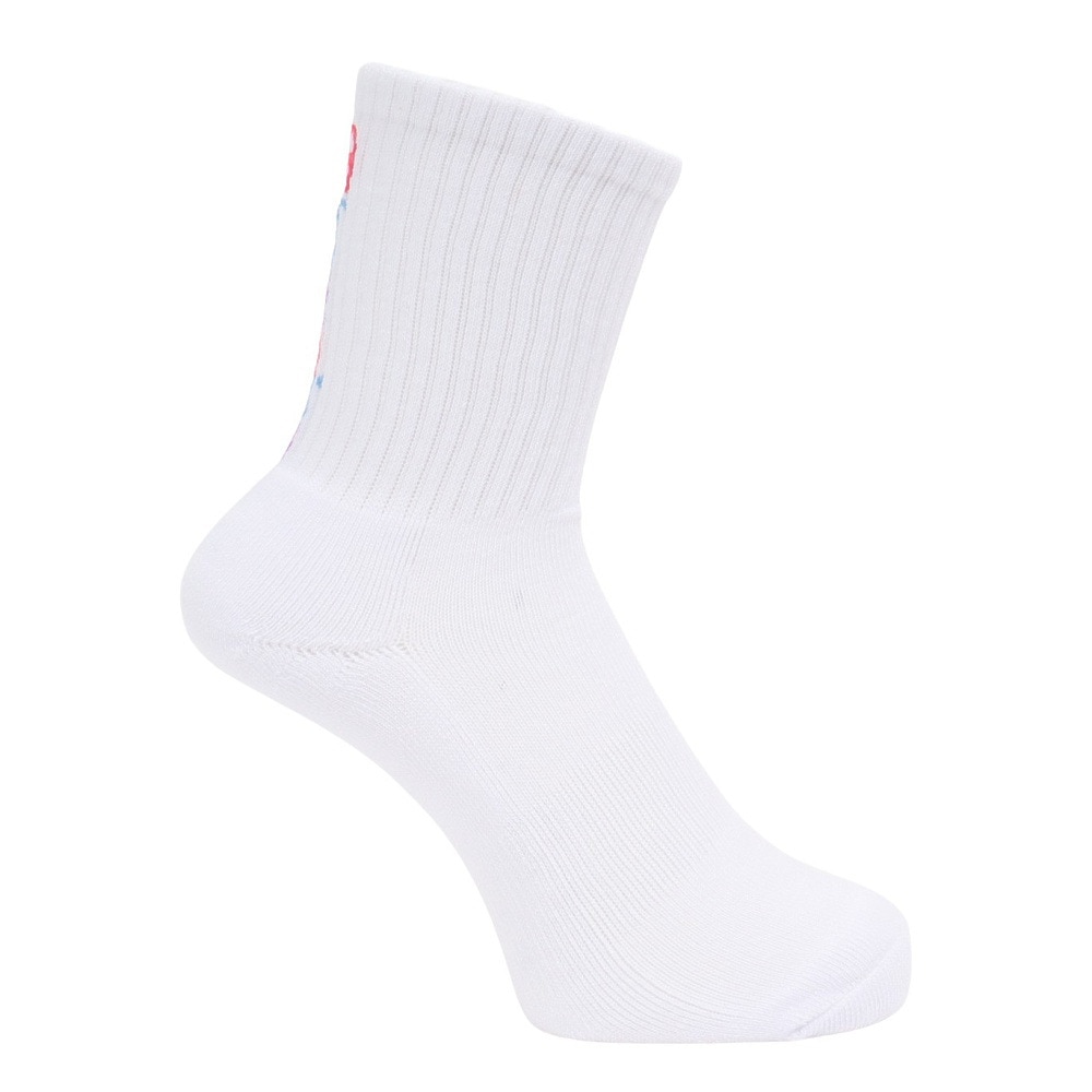 チャンピオン（CHAMPION）（レディース）レギュラーソックス CW-CG702S 010