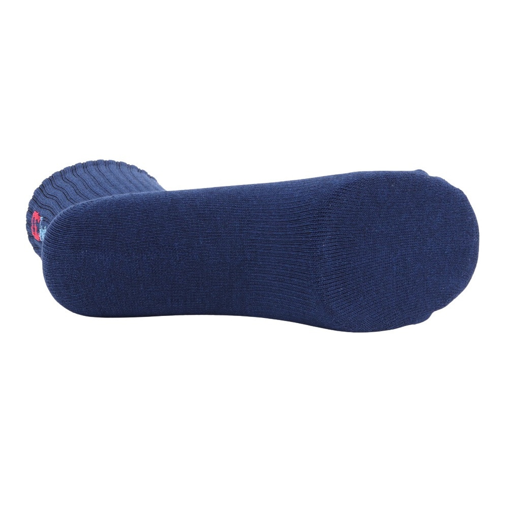 チャンピオン（CHAMPION）（レディース）レギュラーソックス CW-CG702S 370