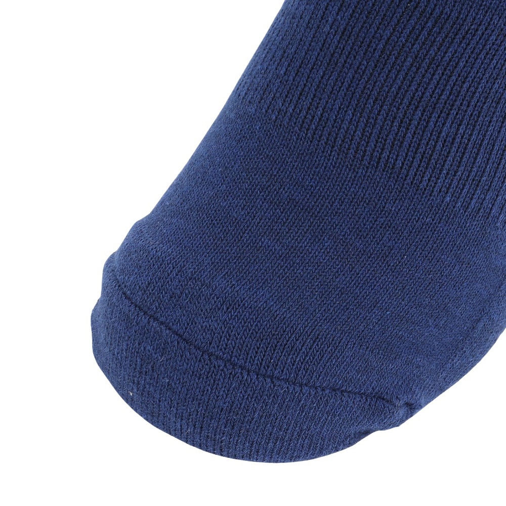 チャンピオン（CHAMPION）（レディース）レギュラーソックス CW-CG702S 370