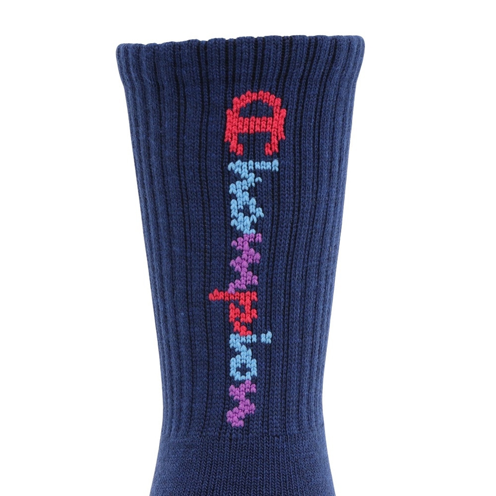 チャンピオン（CHAMPION）（レディース）レギュラーソックス CW-CG702S 370