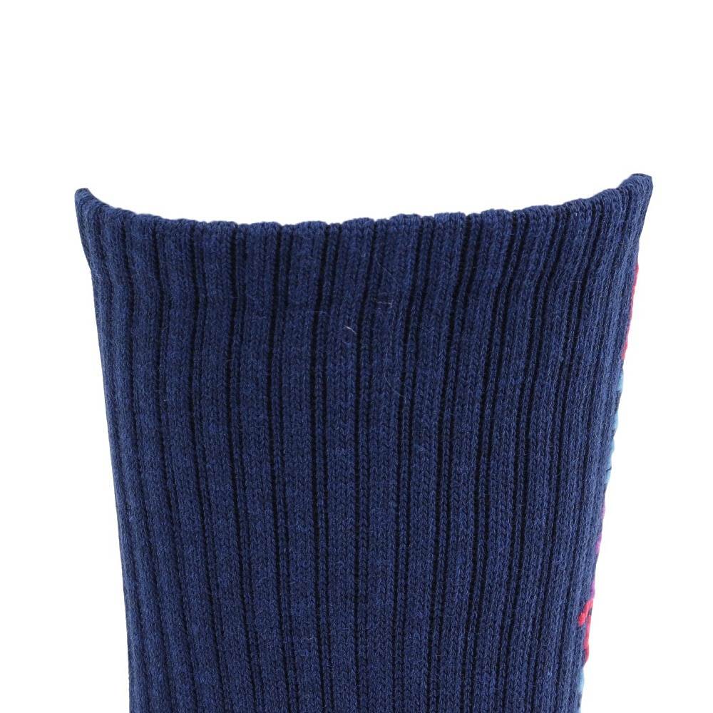 チャンピオン（CHAMPION）（レディース）レギュラーソックス CW-CG702S 370