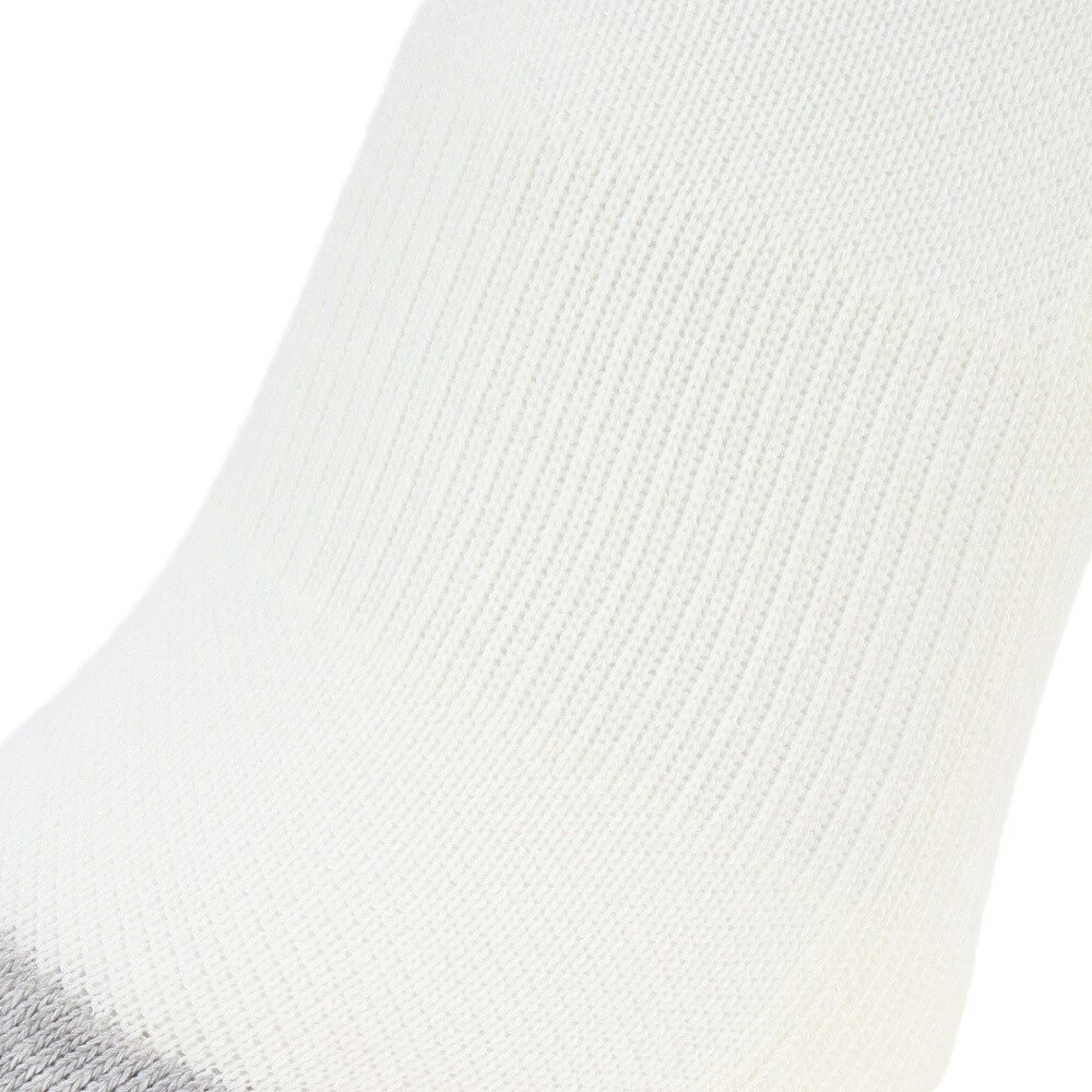 チャンピオン（CHAMPION）（レディース）ゴルフ 抗菌防臭 ソックス CW-ZG702S 020