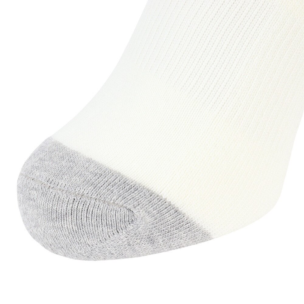 チャンピオン（CHAMPION）（レディース）ゴルフ ハイソックス CW-ZG701S 020