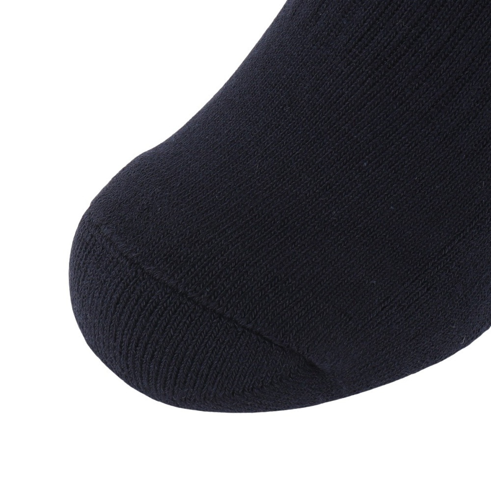 アドミラル ゴルフ（Admiral GOLF）（レディース）ゴルフ 抗菌防臭 バックロゴ ハイソックス ADMB4B21-NVY