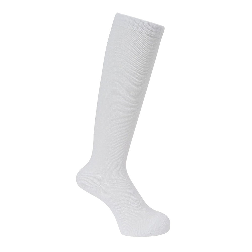 アドミラル ゴルフ（Admiral GOLF）（レディース）ゴルフ 抗菌防臭 バックロゴ ハイソックス ADMB4B21-WHT