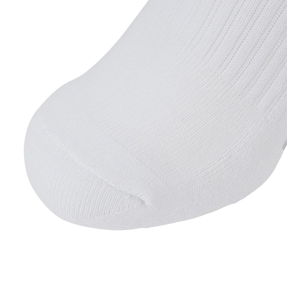 アドミラル ゴルフ（Admiral GOLF）（レディース）ゴルフ 抗菌防臭 バックロゴ ハイソックス ADMB4B21-WHT