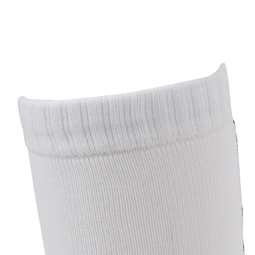 アドミラル ゴルフ（Admiral GOLF）（レディース）ゴルフ 抗菌防臭 バックロゴ ハイソックス ADMB4B21-WHT