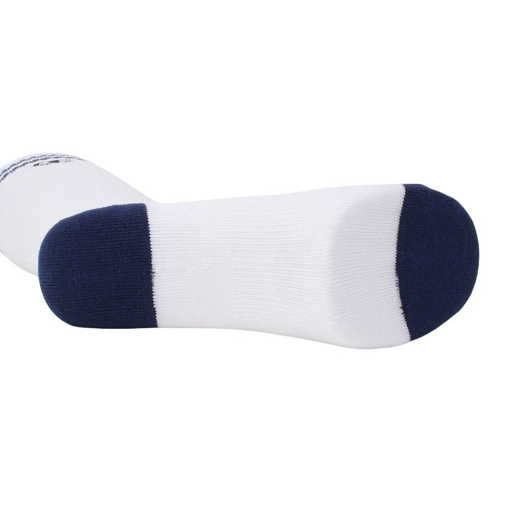 チャンピオン（CHAMPION）（レディース）ゴルフ 抗菌防臭 ハイソックス CW-AG701S 010