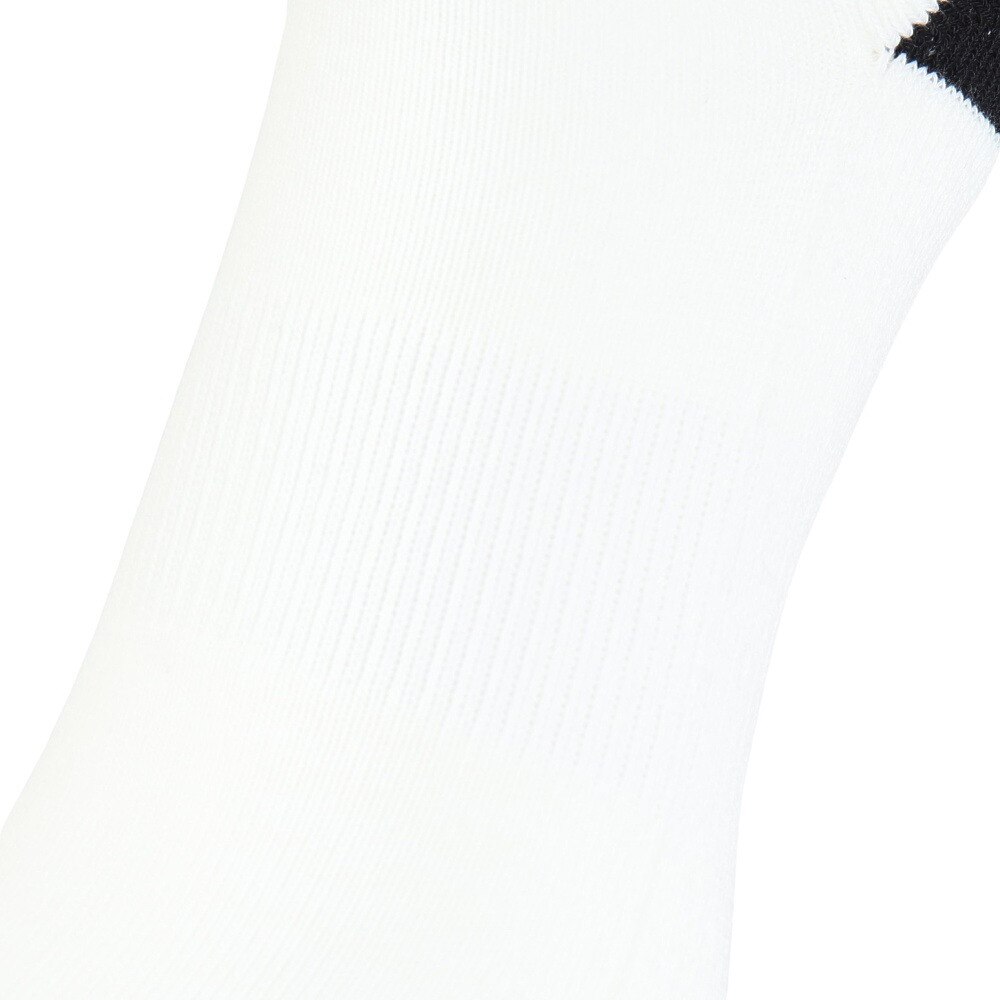ルコックスポルティフ（lecoqsportif）（レディース）ゴルフ ロゴデザイン ハイソックス LG4FSO08L WH00