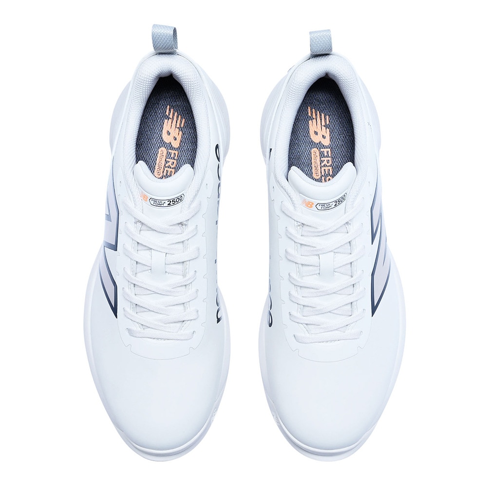 ニューバランス（new balance）（メンズ）ゴルフシューズ Fresh Foam X 2500 v4 UG2500C42E
