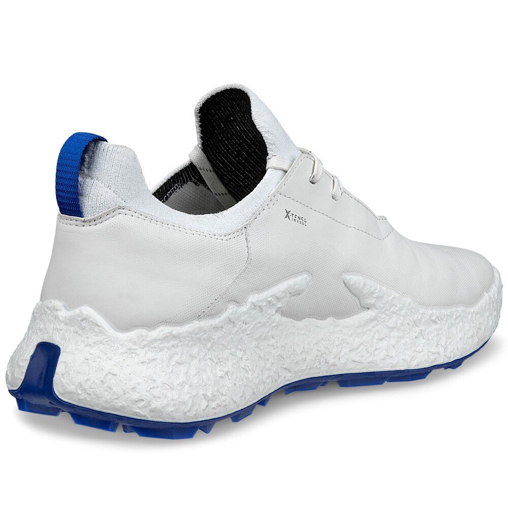 エコー（ecco）（メンズ）ゴルフシューズ BIOM H5 138014 61109 WH