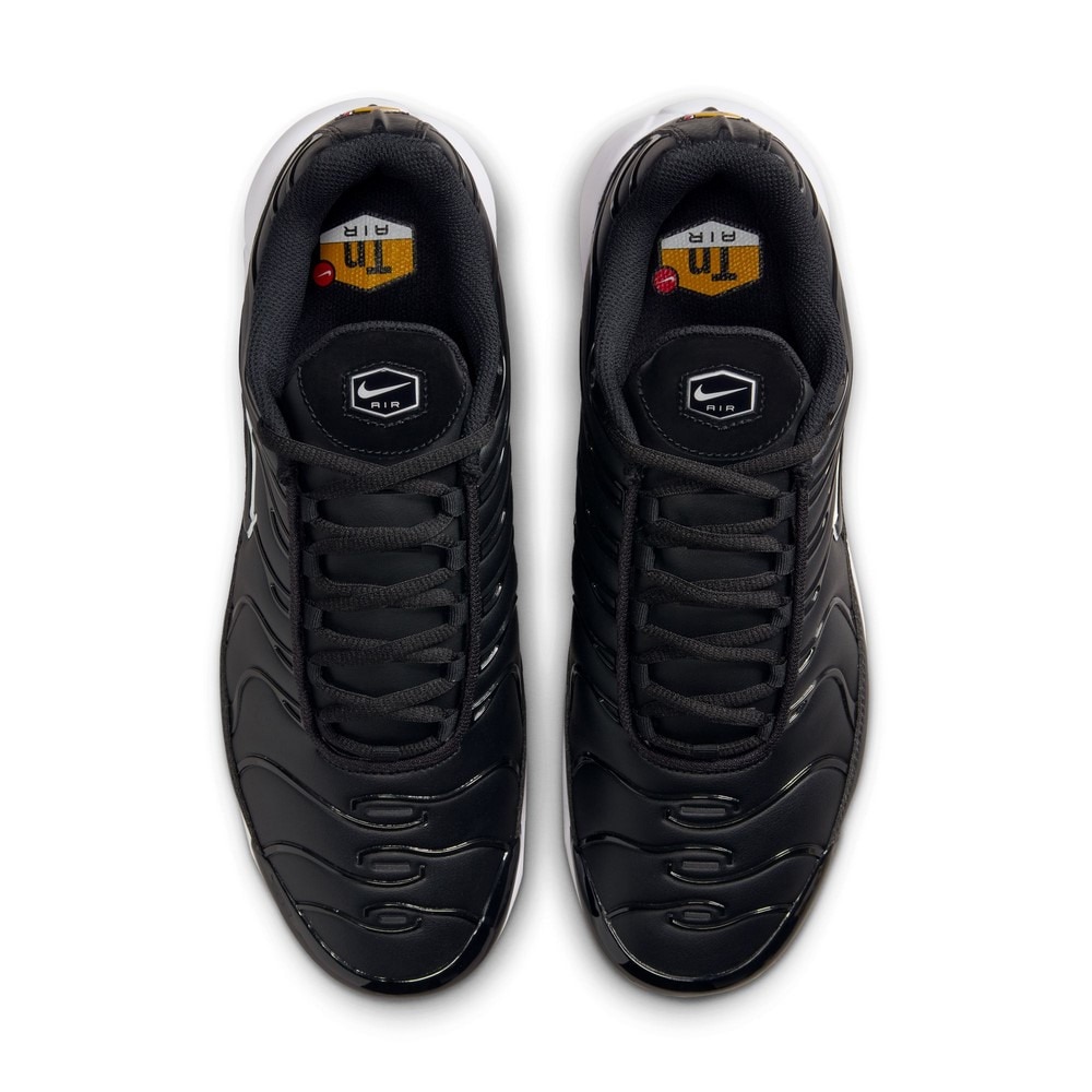 ナイキ（NIKE）（メンズ）エア マックス プラス G FZ4150-001