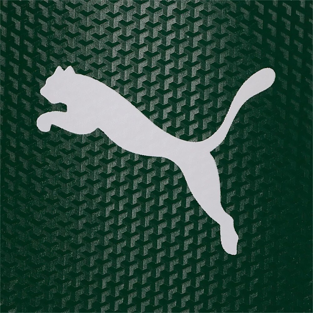 プーマ（PUMA）（メンズ、レディース）ゴルフ キャディバッグ カート式 4分割 シーズン パフォーマンス カートバッグ 090084-01