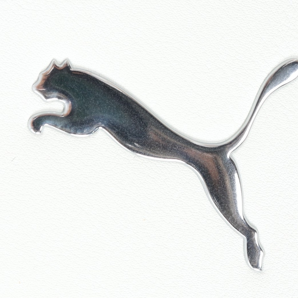 プーマ（PUMA）（メンズ）ゴルフ シューズケース ツアーライクメタルキャット シューズバッグ 092488-02