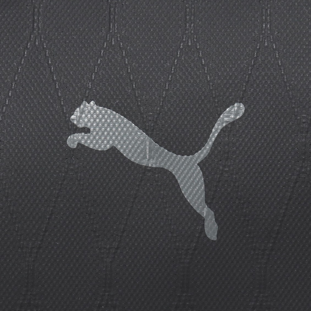 プーマ（PUMA）（メンズ）ゴルフ X FACE シューズケース 092490-01