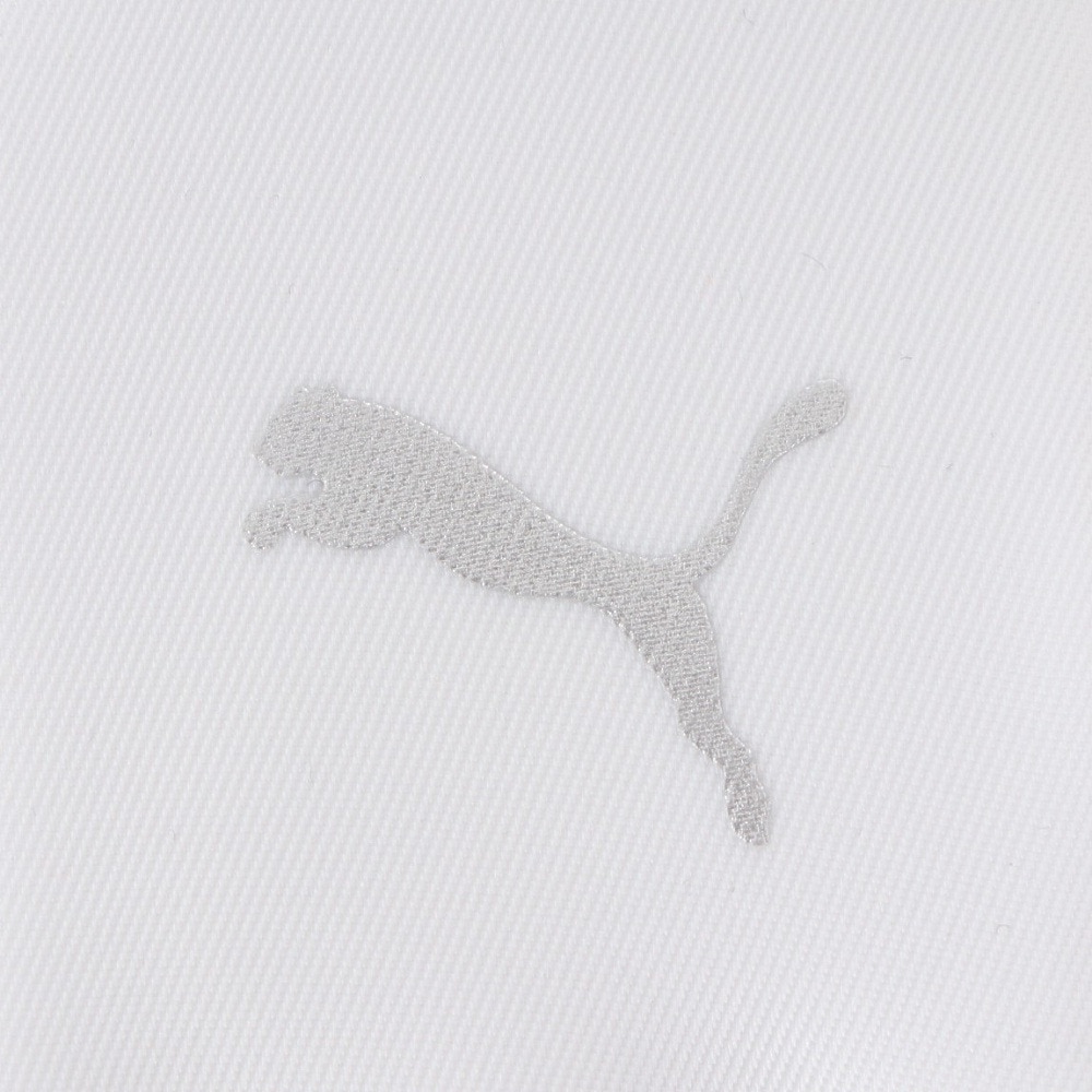 プーマ（PUMA）（メンズ、レディース）ゴルフ ボールポーチ PF ボールケース 2球用 0.2L 090909-03