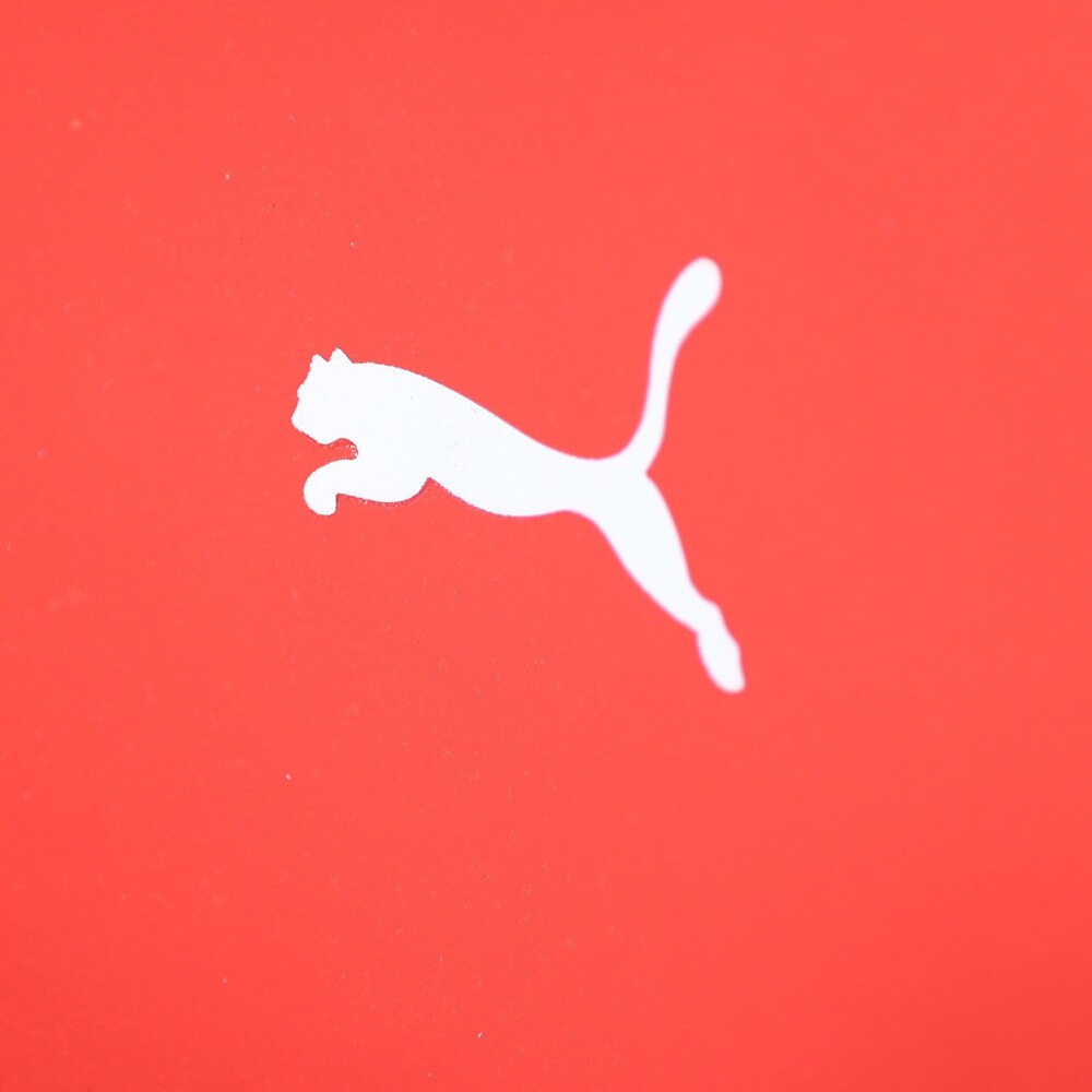 プーマ（PUMA）（メンズ、レディース）BASIC ラウンドトート 6L 090101-04