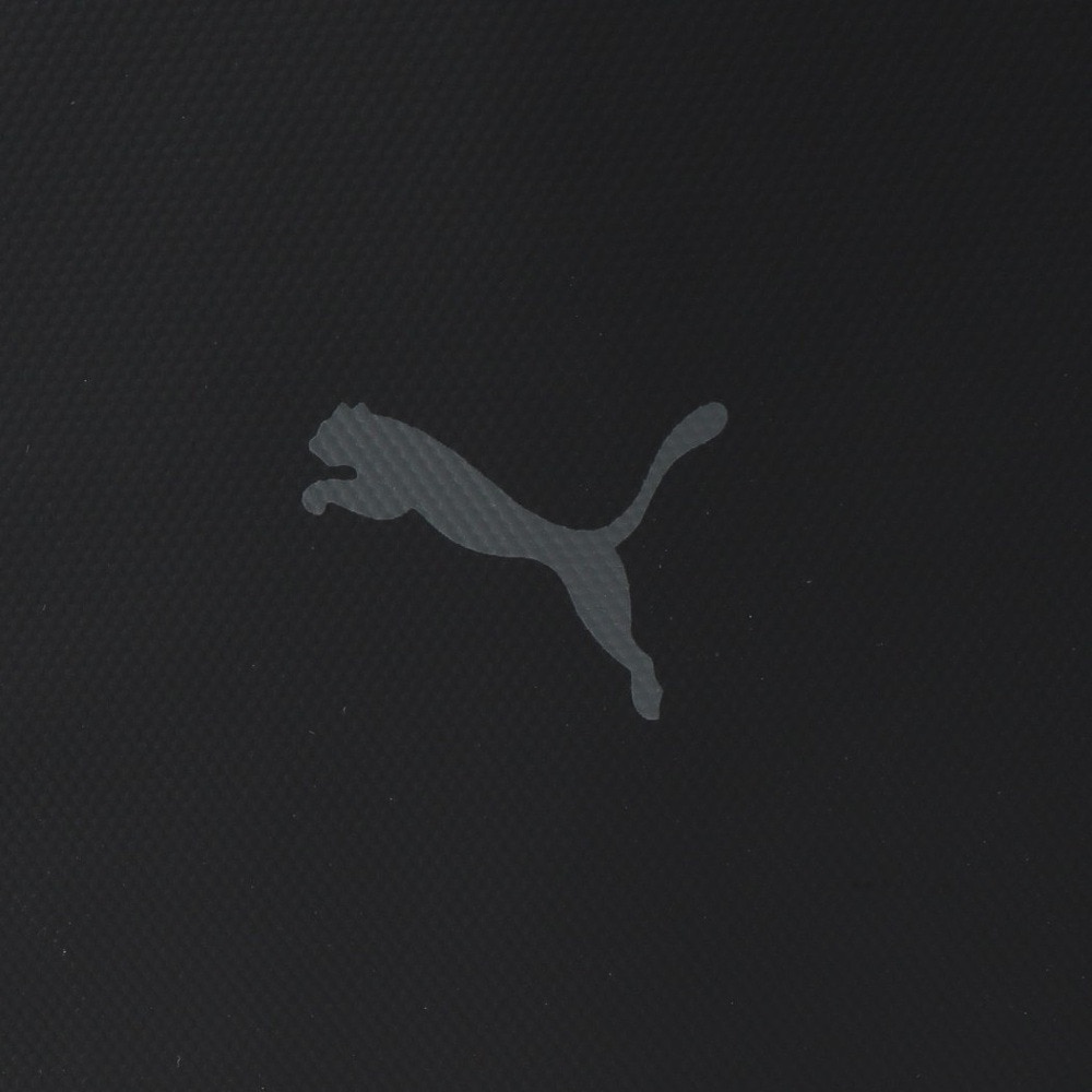 プーマ（PUMA）（メンズ、レディース）ゴルフ 保冷保温 PF X FACE クーラーバック 092493-01