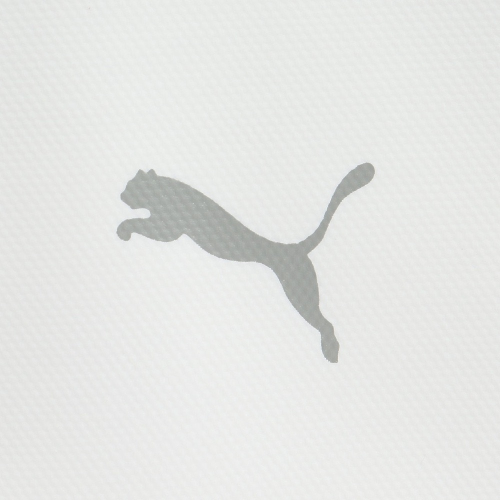 プーマ（PUMA）（メンズ、レディース）ゴルフ PF X FACE クーラーバック 092493-02