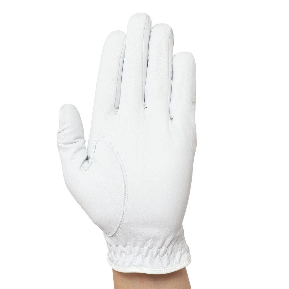 キャスコ（KASCO）（メンズ）【左手用皮革】ゴルフグローブ シルキーフィット レギュラー GF-17251 WT