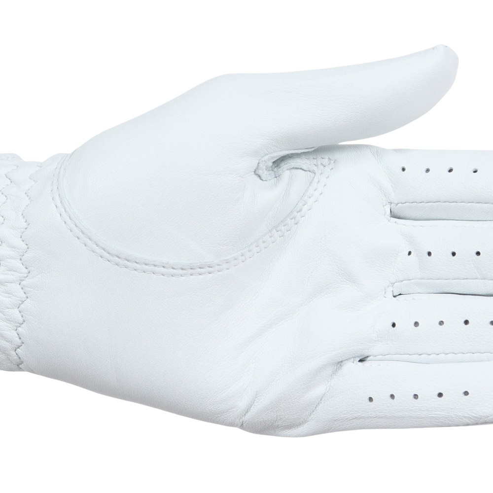 フットジョイ（FOOT JOY）（メンズ）ゴルフ ゴルフグローブ 左手用 23 ステイソフ WT FGSS23WT