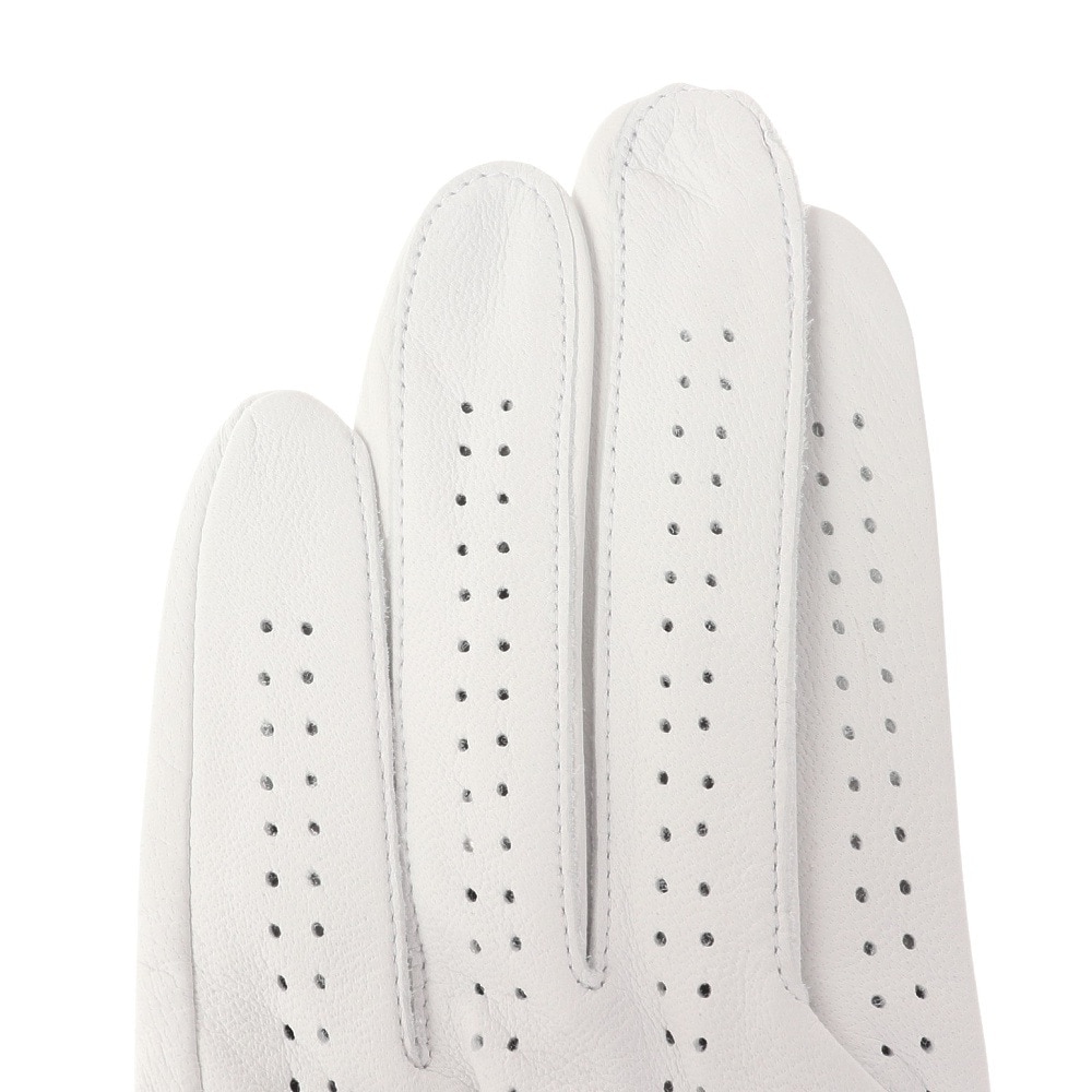 キャスコ（KASCO）（メンズ）ゴルフ 左手用 アクアフィット レギュラーサイズ GF-23251 WHT